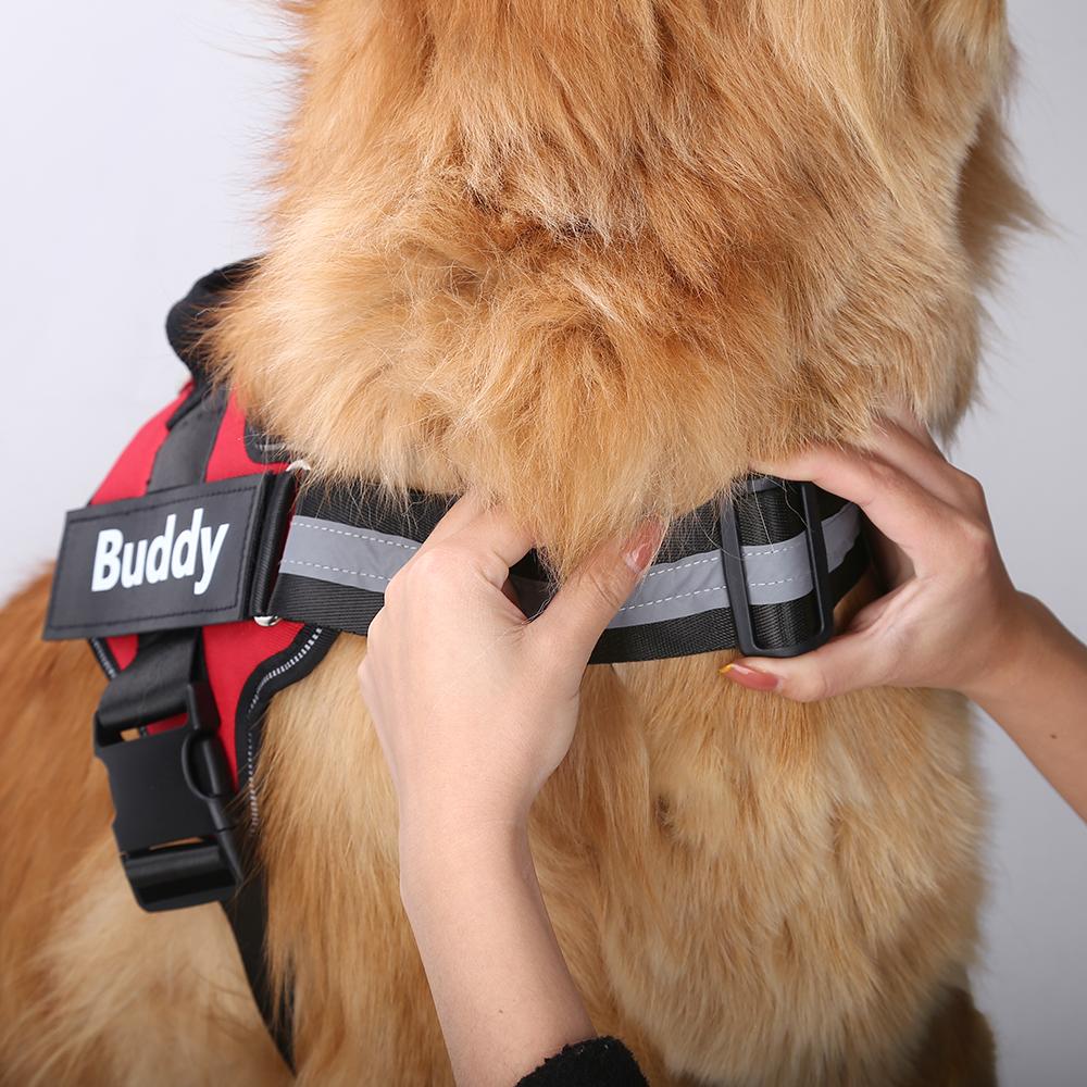 IXORA™   - CUSTOM FIT NO-PULL DOG HARNESS