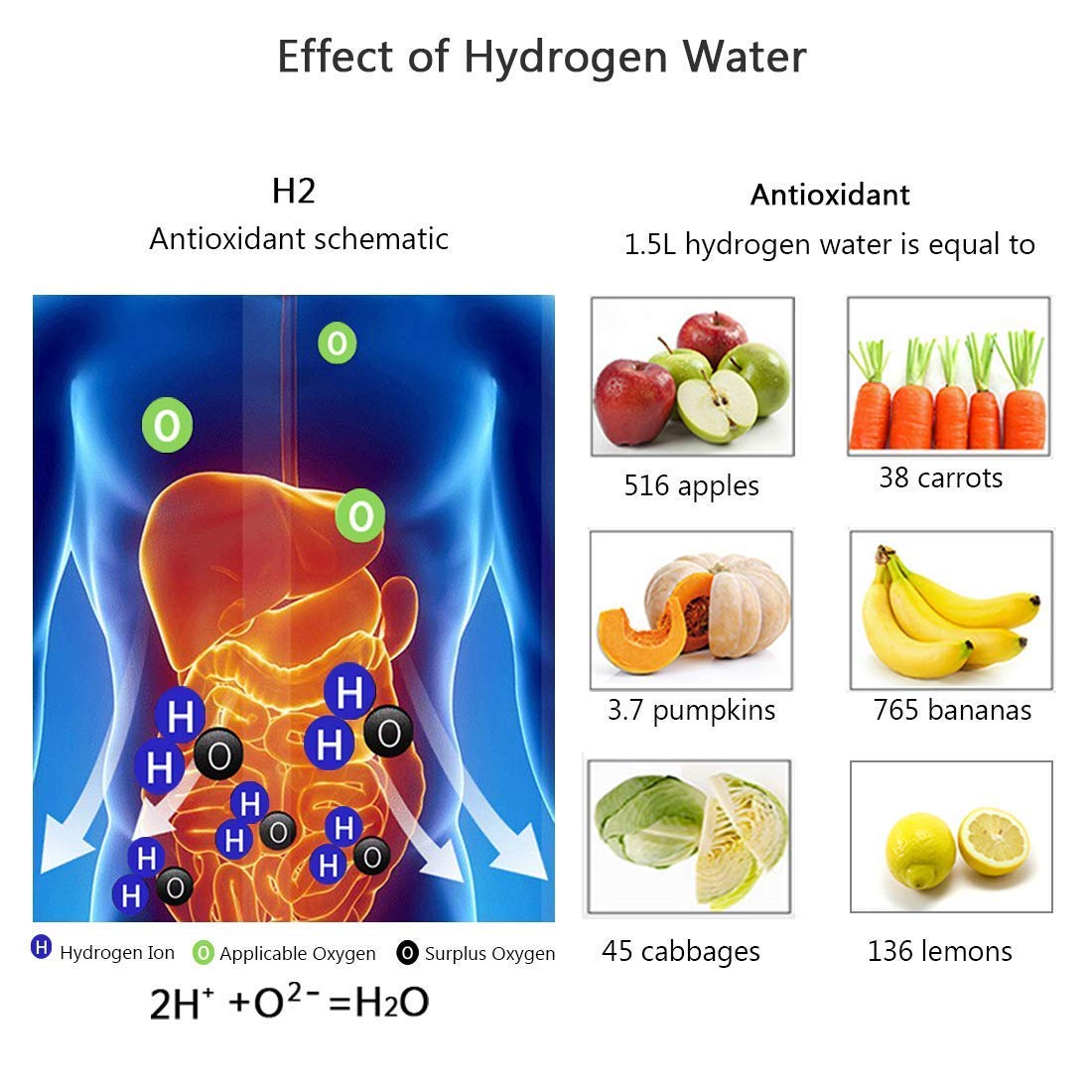 IXORA™   - HYDROGEN WATER BOTTLE